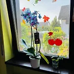 Comfort Near Mainz - Terrace & Parking *