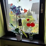 Comfort Near Mainz - Terrace & Parking Apartamento Budenheim