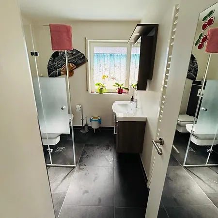 Apartment Comfort Near Mainz - Terrace & Parking