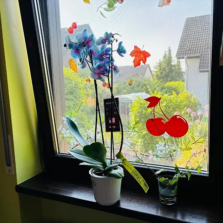 Comfort Near Mainz - Terrace & Parking *