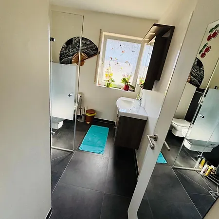 Apartment Comfort Near Mainz - Terrace & Parking