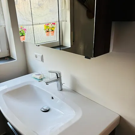 Apartment Comfort Near Mainz - Terrace & Parking *