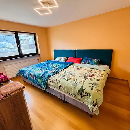 Comfort Near Mainz - Terrace & Parking * Budenheim