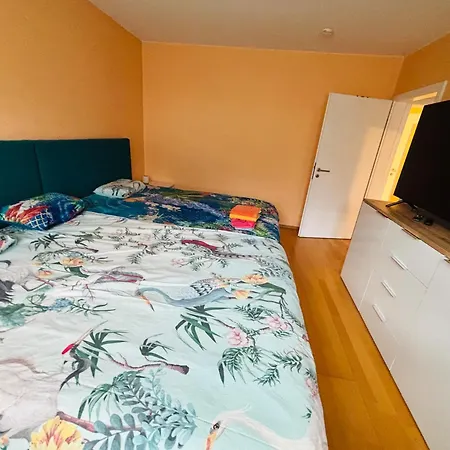 Apartment Comfort Near Mainz - Terrace & Parking *