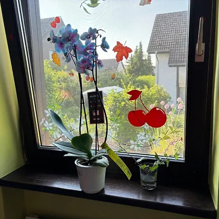 Comfort Near Mainz - Terrace & Parking Apartment Budenheim