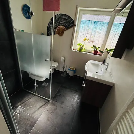 Apartment Comfort Near Mainz - Terrace & Parking Budenheim